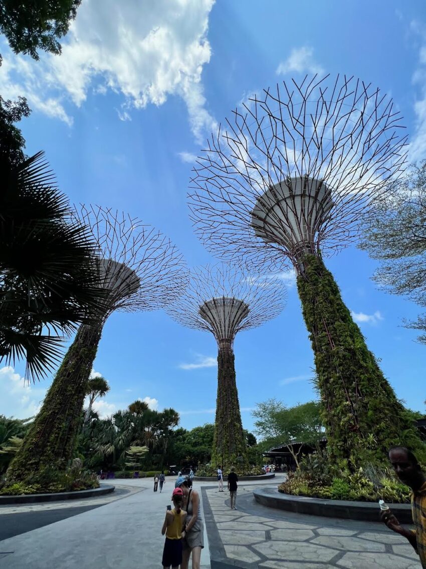 Small Supertree Grove in Singapore
