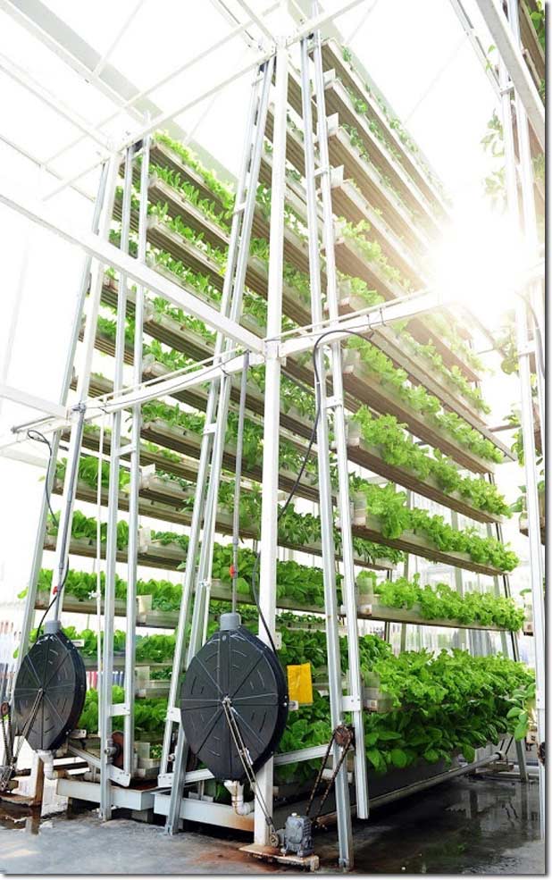 Sky Greens Vertical Farm in Singapore