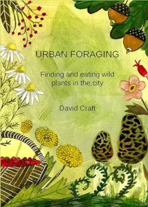 Urban Foraging: Finding and eating wild plants in the city