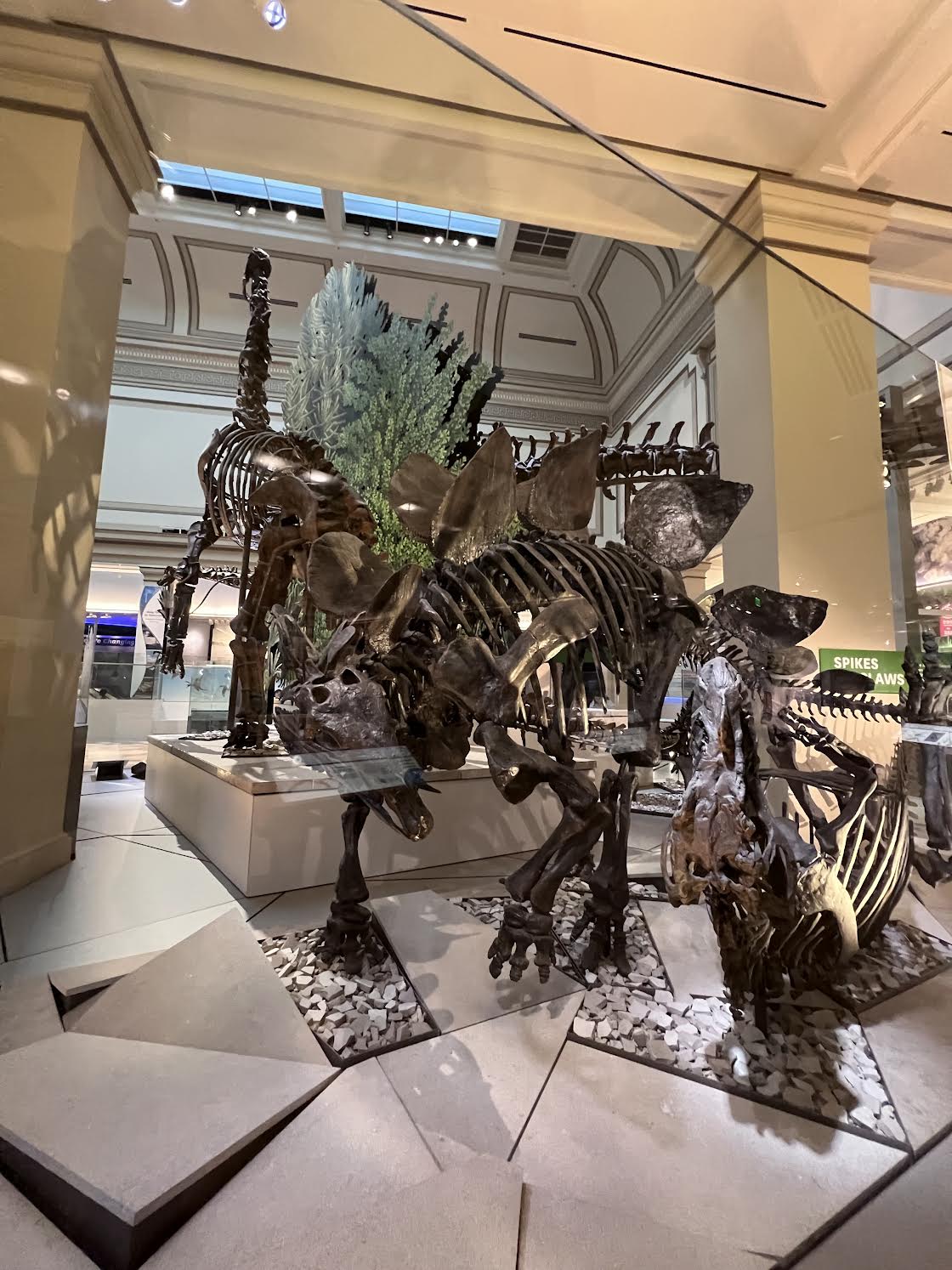 Smithsonian National Museum of Natural History - Pragmatic Mom