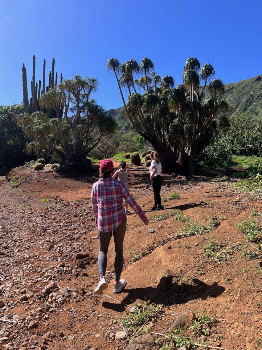 Visiting Koko Crater Botanical Garden on Oahu