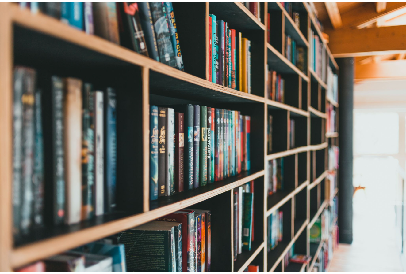 Beyond Books: Unique Gifts to Find at Barnes & Noble